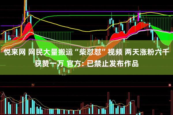 悦来网 网民大量搬运“柴怼怼”视频 两天涨粉六千获赞一万 官方: 已禁止发布作品