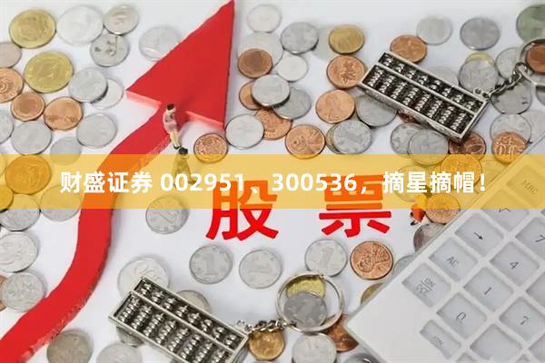 财盛证券 002951、300536，摘星摘帽！