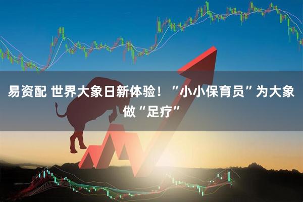 易资配 世界大象日新体验！“小小保育员”为大象做“足疗”