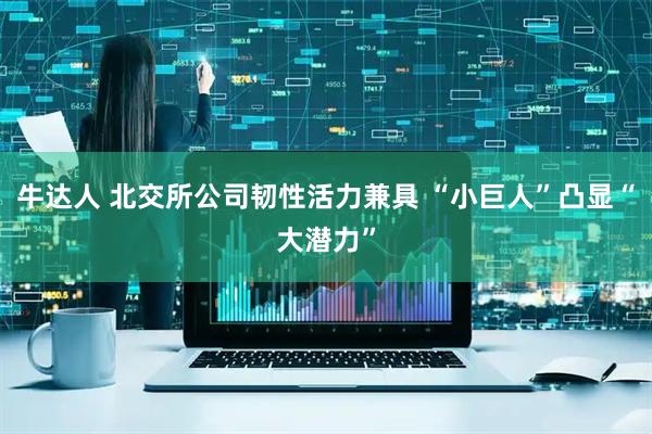 牛达人 北交所公司韧性活力兼具 “小巨人”凸显“大潜力”