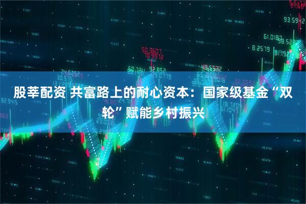 股莘配资 共富路上的耐心资本：国家级基金“双轮”赋能乡村振兴