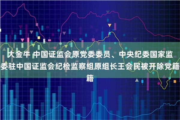 大金牛 中国证监会原党委委员、中央纪委国家监委驻中国证监会纪检监察组原组长王会民被开除党籍