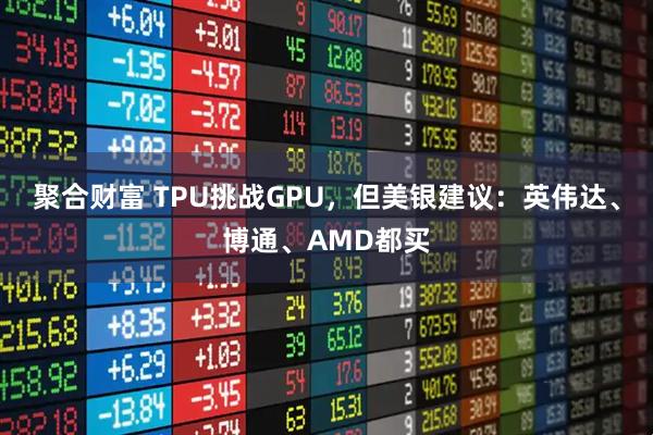 聚合财富 TPU挑战GPU，但美银建议：英伟达、博通、AMD都买