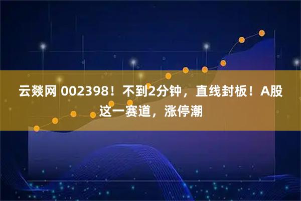 云燚网 002398！不到2分钟，直线封板！A股这一赛道，涨停潮