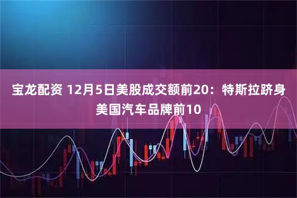 宝龙配资 12月5日美股成交额前20：特斯拉跻身美国汽车品牌前10